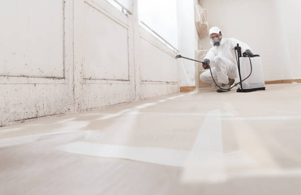 24/7 Emergency Mold Removal experts in Moon, VA